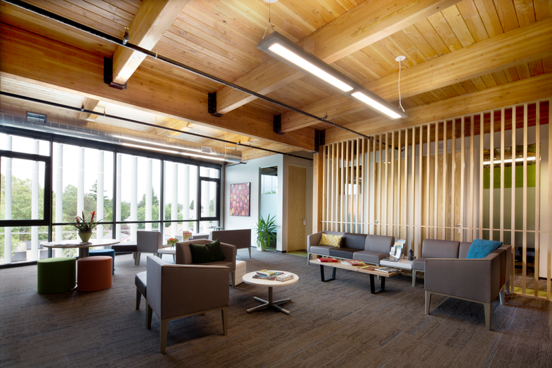 Illustration for article titled These Gorgeous Buildings Showcase the Surprisingly Innovative Future of Wood